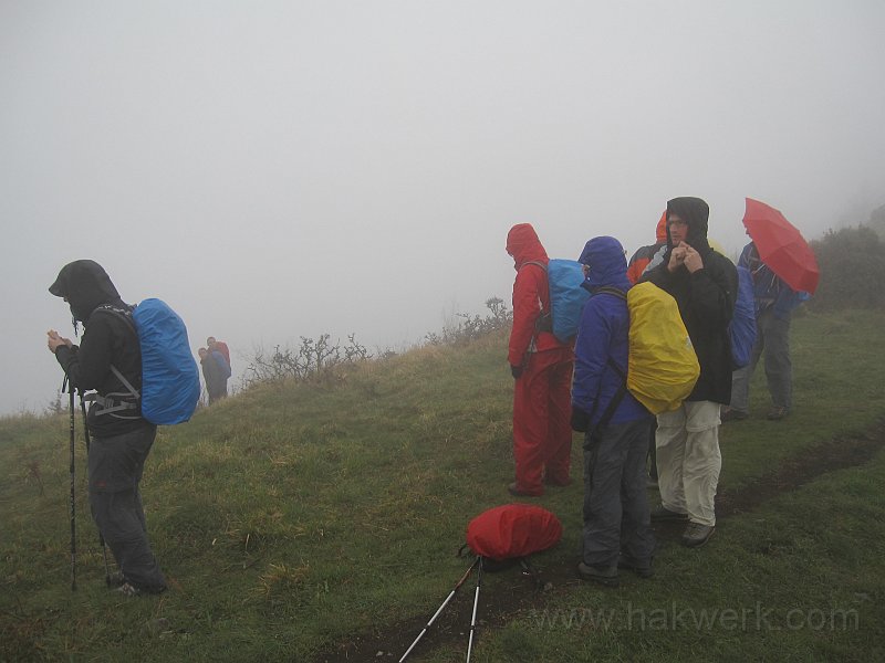 IMG_8293_1132a.jpg -                                