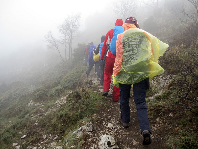 IMG_8293_1133a.jpg -                                