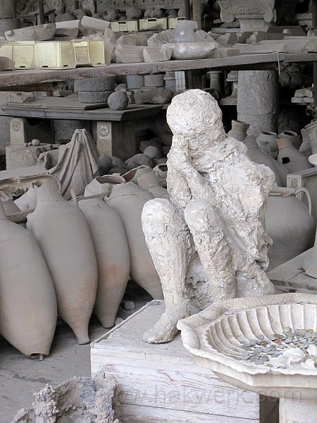 IMG_8320_1155a.jpg -                                