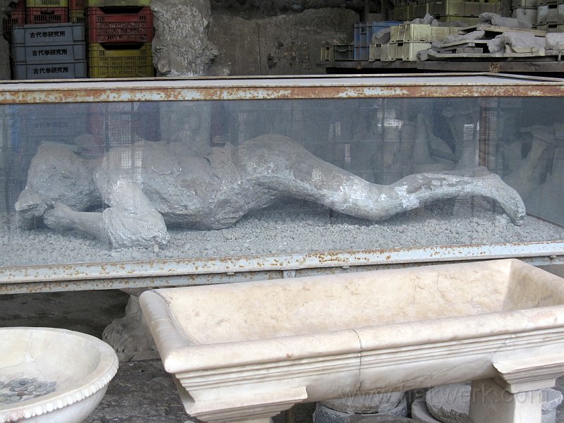 IMG_8320_1156a.jpg -                                