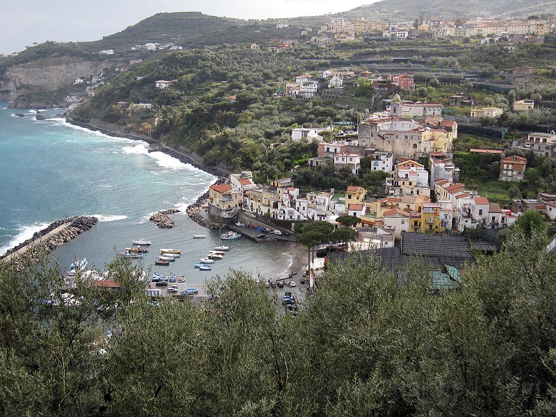 IMG_8320_1176a.jpg -                                