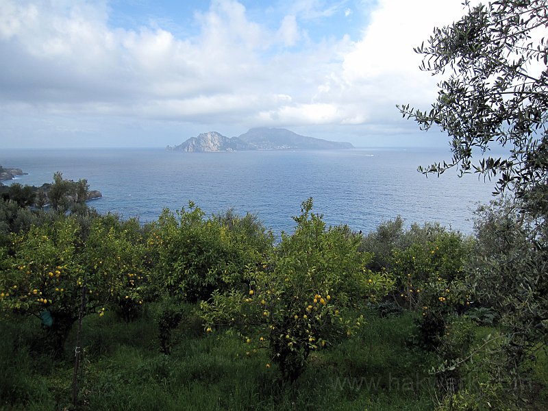 IMG_8320_1177a.jpg -                                